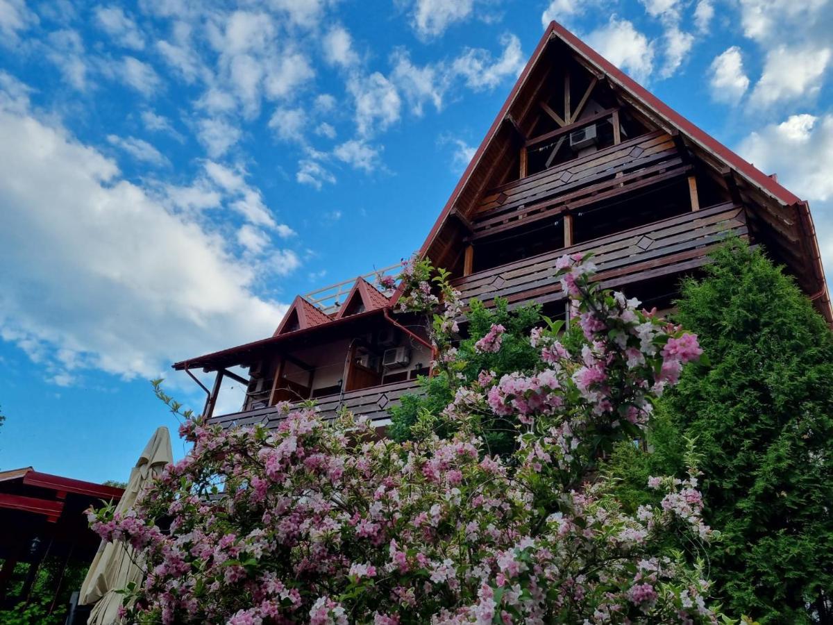 Hotel Casa Luca Vama Veche
