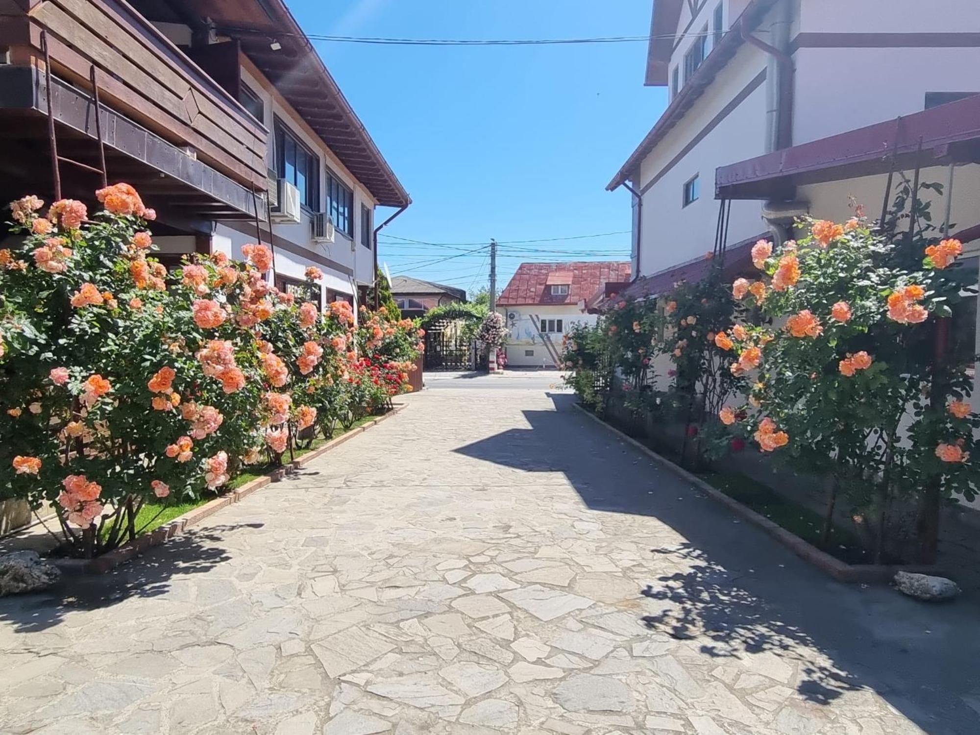 Casa Luca Hotel Vama Veche
